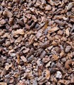 Cacao Criollo Cru BIO - Pépites - 1 kg