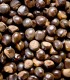 Organic Guarana - Seeds - 50g - Short BDD