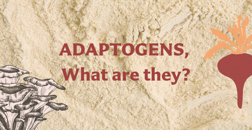 Adaptogens, what are they exactly?